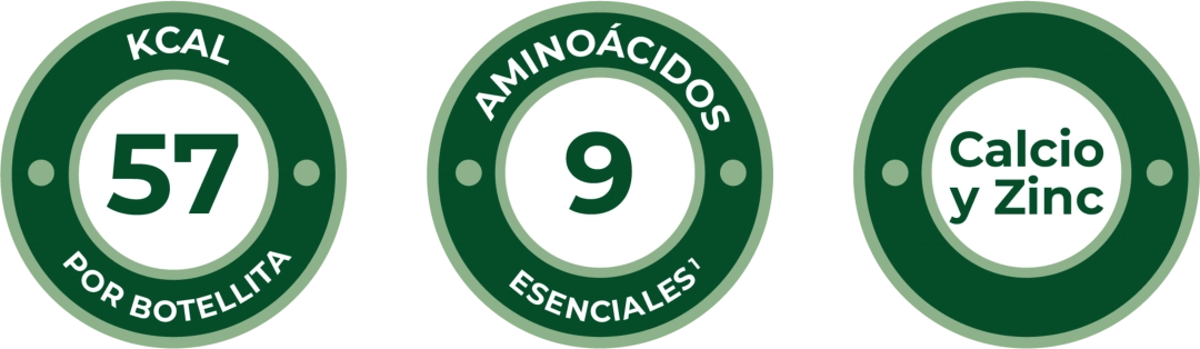 Info Botellita Frutilla Ser gráfico botellita frutilla